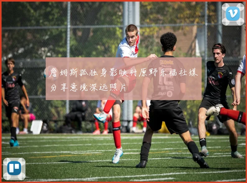詹姆斯孤独身影映衬原野乐福社媒分享意境深远照片